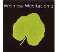 V/A - WELLNESS MEDITATION 2