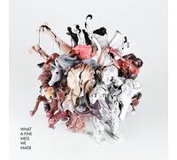 V/A - WHAT A FINE MESS WE MADE