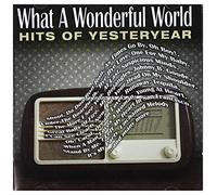 V/A - What A Wonderful World: The Hits Of Yesteryear (2 CD)