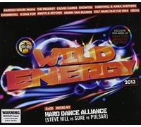 V/A - Wild Energy 2013 (3 CD)