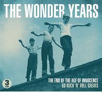 V/A - Wonder Years