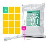 V-CATCHER Trappola per mosche della frutta, trappole adesive gialle per moscerini e papillon bianco, per interni ed esterni, per catturare afidi, zanzare, insetti delle piante da interno (25