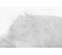 V.I.P. Very Important Pillow V.I.P. Imbottitura Softylen 55x55 cm Gr. 400 Arrotolata