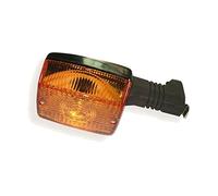 Intermittenti Posteriore Entrambi i Lati V Parts Tipo OEM per Moto Ricambi