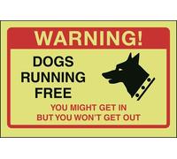 V Safety DP006AR-G - Cartello in plastica rigida fosforescente, 200 x 150 mm