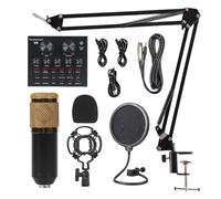 V8 Scheda audio di conversione vocale per karaoke live broadcast chat su stile B