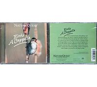 Va-new Age - Birds Acapella