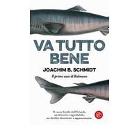 VA TUTTO BENE. IL PRIMO CASO DI KALMANN - SCHMIDT JOACHIM B. - SEM