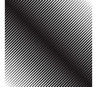 Vacant Lots - Interzone (Vinyl White)