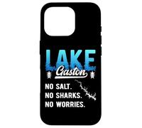 Vacanze al lago Gaston Fiume Roanoke Carolina del Nord Virginia Custodia per iPhone 16 Pro
