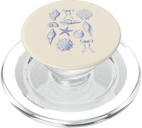 Vacanze al mare conchiglie stelle marine archi estate ragazze bambini donne PopSockets PopGrip per MagSafe