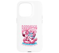Vacanze corrispondenti alle Barbados Custodia per iPhone 15 Pro