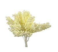 Vacchetti Pick Mazzo Fiore Lungo Bianco Conf. 12 Pz.