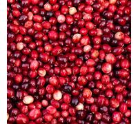 Vaccinium macrocarpon - ufficio biancheria semi da letto elevato balcone letti elevati balcone semi espaldera Letti elevati 100pcs