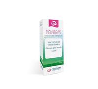 Vaccinium Vitis/idaea MG Sarandrea 60ml