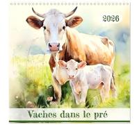 Vaches dans le pré (Calendrier mural carré 2026 30 x 60 cm (ouvert)) Calendrier double avec une page pour vos prises de notes: Plongez dans un monde ... illuations de vaches. (CALVENDO Animaux)