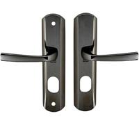 Vachette Muze - Maniglia per porta blindata su piastra per porta cuscinetto, versione chiave I per porta cuscinetto, interasse 195 mm, materiale Zamak resistente, finitura diamantata nera, garanzia 10