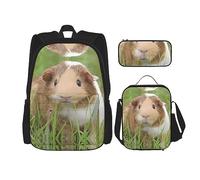 vacsAX Zaino impermeabile leggero con colibrì (set da 3 pezzi) con borsa per il pranzo, astuccio per ufficio e scuola, Simpatico porcellino d'India., Taglia unica