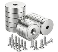 VACUBXBY 14 Pezzi Magneti al Neodimio 10 KG Forza 20 x 6 mm con Foro per Vite, Ideali per Mantenere Ordine in Taller e Garage