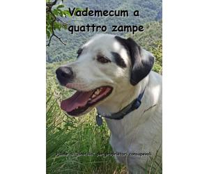 VADEMECUM A QUATTRO ZAMPE: Pillole di "cinofilia" per proprietari consapevoli.