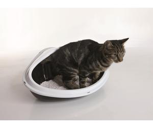 Vadigran Ecktoilette "Concha" XL L x B x H: 51 x 38 x 22,5 cm assortito