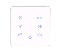 Vadillo Amplificatore Bluetooth da parete, USB, scheda SD, pannello musicale, audio stereo per hotel, ristorante,