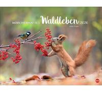 Vadim Trunov: Märchenhaftes Waldleben Posterkalender 2026: Naturkalender 2026 gestaltet mit Bildern des Naturfotografen Vadim Trunov. Fotokalender 2026 im Querformat. 44 x 34 cm.