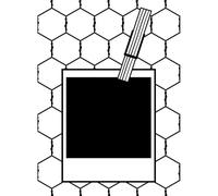 Vaessen Creative Cartella per Goffratura Polaroid con Filo 14,6 x 10,7 cm - Cartella per Embossing per Biglietti, Scrapbooking, Journaling - Riutilizzabile, Risultati Precisi, Per Macchine da Taglio