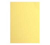 Vaessen Creative Cartoncino A4-25 pz - Carta Colorati Asparagus (Giallo) 216 g - per Scrapbooking, Biglietti, Fustellatura e Progetti con la Carta - Texturata