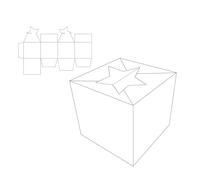 Vaessen Creative Confezione Regalo con Fustelle da Taglio, Stella, Realizzate Buste per Regali, Portagioie, Calendari dell’avvento, Etichette Segnaposto o altri Progetti Creativi con la Carta