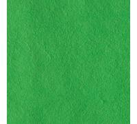 Vaessen Creative Feltro Tessuto Foglio, Verde, Taglia unica, 10 unità