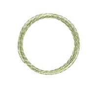 Vaessen Creative Filo di Ferro Modellabile Diamond Cut da 5 m x 2 mm Apple Green - Filo Flessibile per Creazioni Floreali, Realizzazione di Gioielli e Modellismo