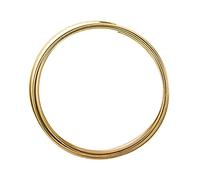 Vaessen Creative - Filo Piatto in Alluminio, Oro Chiaro, 10 x 1 mm 2, 5 m