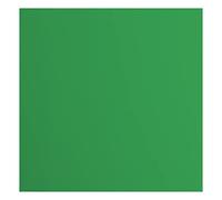 Florence Cardstock-20 fogli quadrati, 216 g/m², 30,5 x 30,5 cm, colore verde, per scrapbooking, creazione di biglietti, punzonatura e altri lavori, carta, 30.5 x 30.5 cm