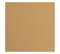 Florence Cardstock Carta, 216 g/m², Quadrata, 30,5 x 30,5 cm, 20 Pezzi, per Scrapbooking, creazione di Biglietti, fustellatura e Altri lavori di bricolage, Marrone, 30.5x30.5cm