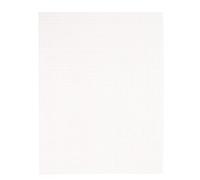 Vaessen Creative Tela di Plastica, 7 Count, Fogli di Rete Flessibile per Progetti Creativi, Ricamo e Punto Croce, 2 Pezzi, 26x34cm, Trasparente
