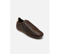 Vagabond Shoemakers - HOLLIE 6123-007 Marrone - Sneakers 38 Marrone