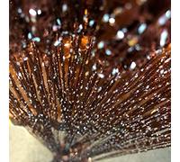 Vagasi 2 Tende 100 x 200 cm Pannelli divisori per interni Glitterata Tende per porta finestra Divisorio di Stanze