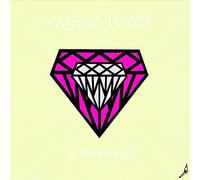 VAGINA TOWN - 11 LOVE SONGS