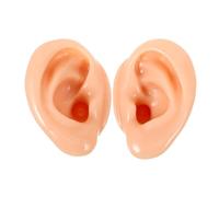 Vaguelly 2pezzi Silicone Per Esposizione Simulati Per Pratiche e Didattiche Colore Per Studenti e Professionisti
