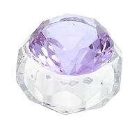 Vaguelly Tazza Di Cristallo Per Nail Art Ciotole Smalto Gel Costruttore Per Unghie Colla Di Strass Strumenti Viola Ciondolo Unghia Monomero Veloce Kit Viola,porpora Cristallo