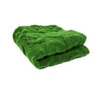 VagxTbs Parete di muschio, 3,2 piedi x 3,2 piedi Simulatuon Muschio per patio Tappeto artificiale per interni Tappeto in erba sintetica, 6 modelli