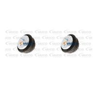 VAICO 2X Supporto Motore Adatto Per BMW Z3 Roadster 2.8I 2.2I 3ER Coupe