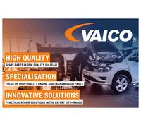 VAICO Ammortizzatore Anteriore Adatto Per Audi A3 8P1 8PA Sportback