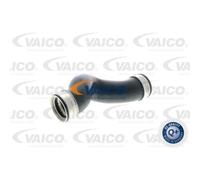 VAICO Aspirazione per VW Transporter V Bus 7HB 7HJ 7EB 7EJ 7EF 1.9