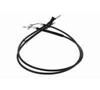 VAICO Cavo Freno A Mano Posteriore per Ford Focus II DA_ HCP DP V25-30075