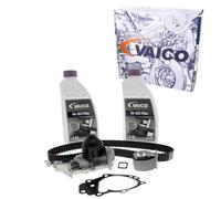 VAICO Cinghia Dentata con Pompa Acqua Adatto A per Dacia Logan Sandero Renault