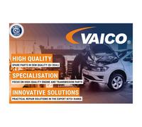 VAICO Crépine Aspiration Pompa Olio Per DS DS4 DS4 Crossback DS5 101866