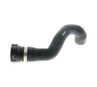 Vaico Tubo radiatore V20-1774 Flessibile destra sotto per BMW Z3 Roadster Coupe 11531716642