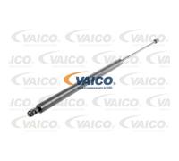 VAICO Gasfeder Dämpfer Heckklappe 770 N Adatto Per VW Transporter IV Bus